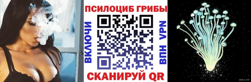 Галлюциногенные грибы Psilocybe  Красногорск 